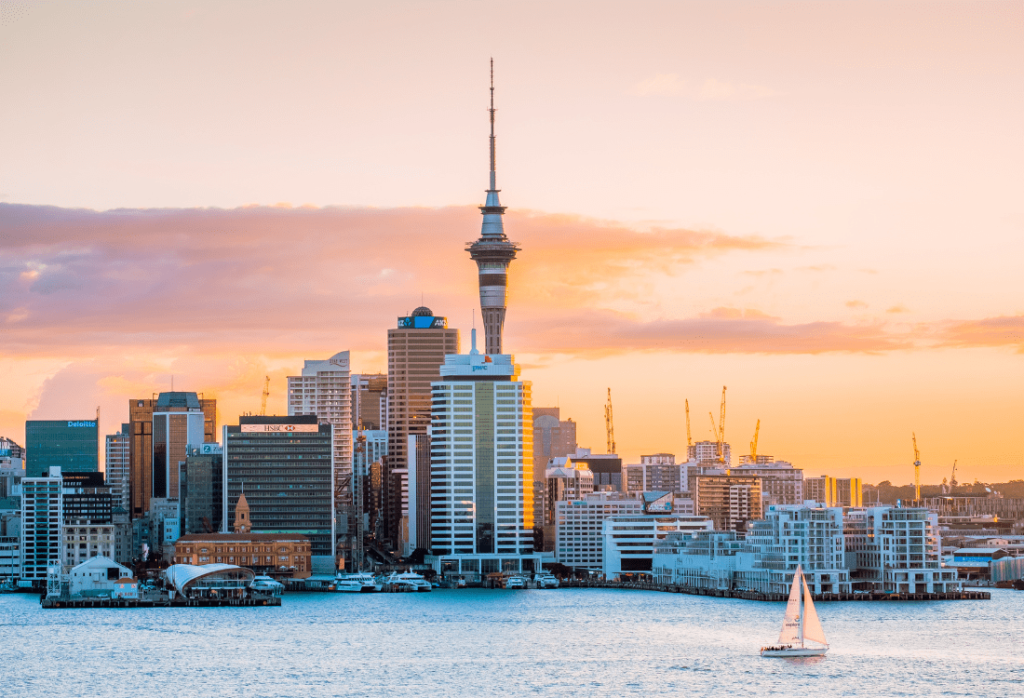 Moving from Dubai to New Zealand - acorn movers - dubai