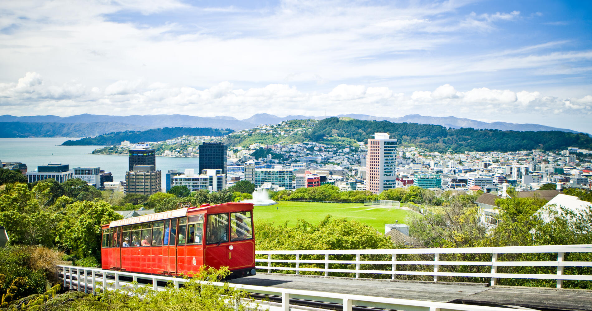 moving to wellington from dubai - acorn movers - dubai