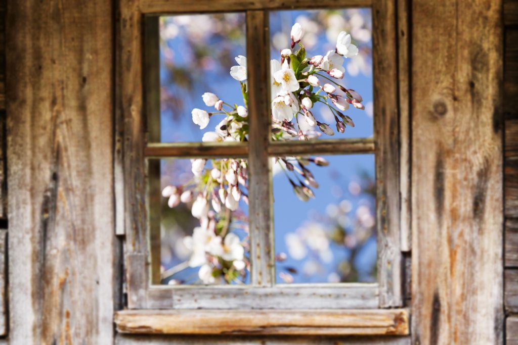 Why the April–May Window Matters - acorn movers - dubai