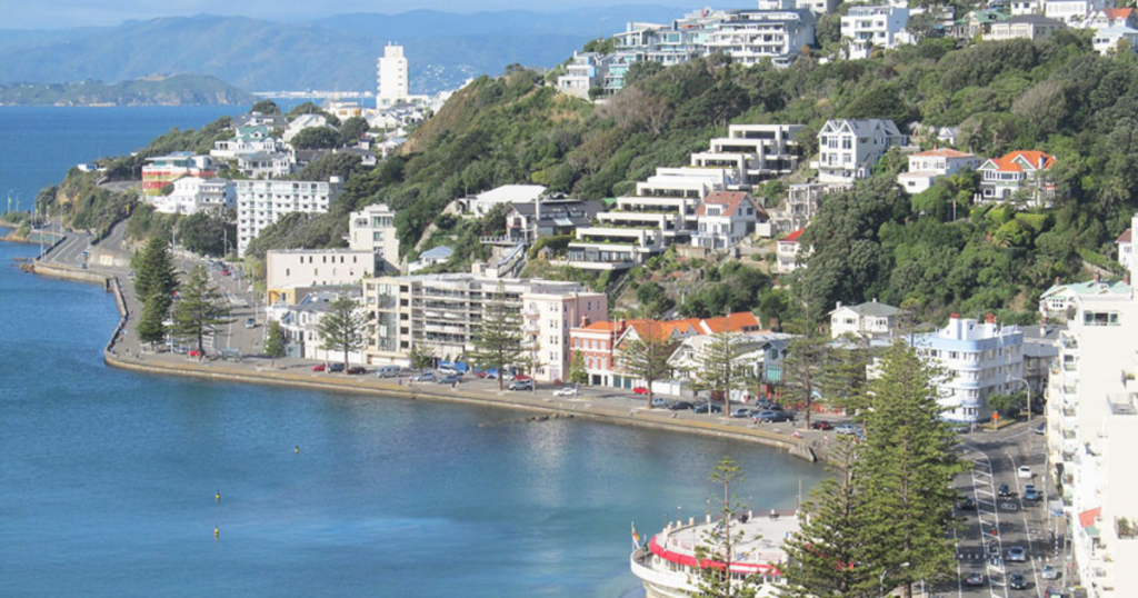 Moving from Dubai to Wellington- New Zealand's Capital and the Long-Haul Freight Reality - acorn movers - dubai