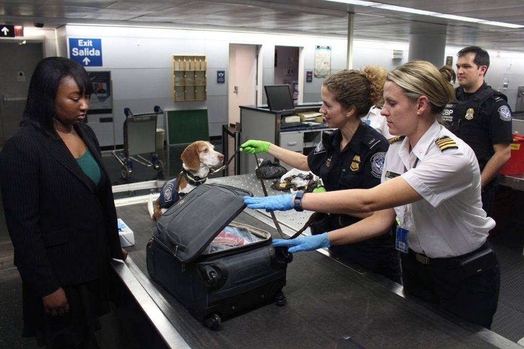 What French Customs Actually Requires - acorn movers - dubai