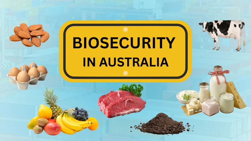 Where Biosecurity Actually Bites - acorn movers - dubai